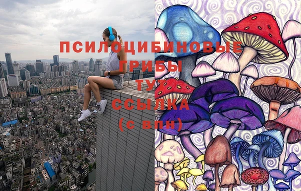 бошки Ельня
