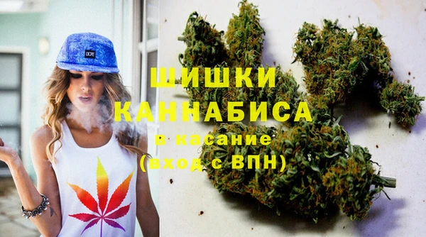 СК Дмитровск