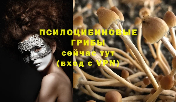 мяу мяу кристалл Дмитриев