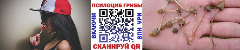 Галлюциногенные грибы GOLDEN TEACHER  Купить где  Инсар 