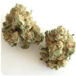 Шишки "White Widow"  (Белая вдова)  Гидропоника -  Бошка VHQ в Инсаре